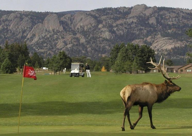 Lily Mountain Lodge - Amazing Mountains Views, Private Hot Tub, Great Location Estes Park Dış mekan fotoğraf