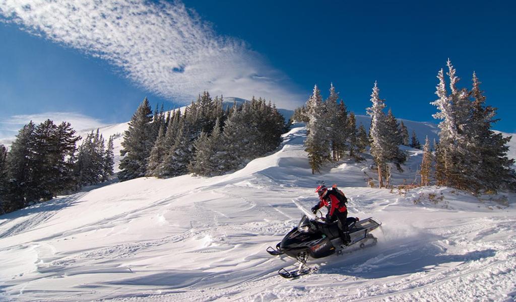 Lily Mountain Lodge - Amazing Mountains Views, Private Hot Tub, Great Location Estes Park Dış mekan fotoğraf